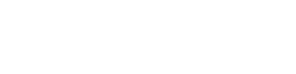 Las Vegas Golden Knights